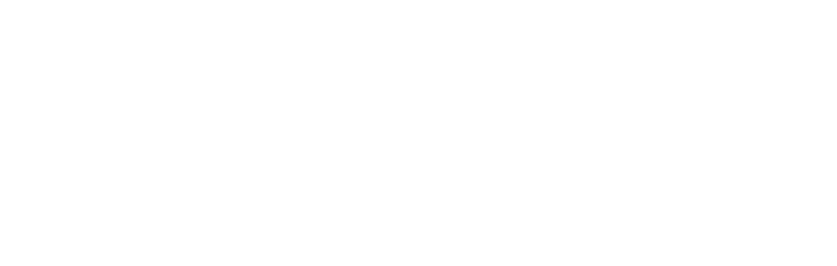 Istituto di diritto cinese
